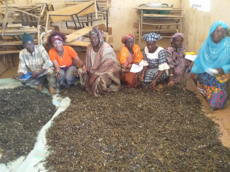 Farmer group in Senegal 
