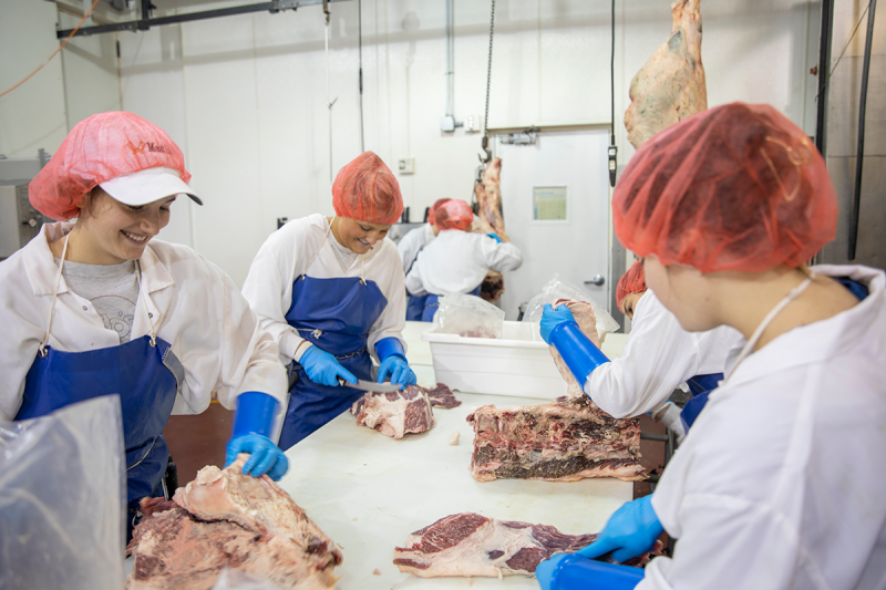 Women in the meat lab