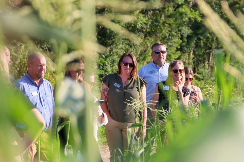 VALOR fellows inspect crops during a farm tour