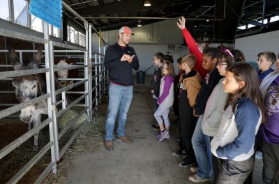 4-h students learning about agriculture in a barn