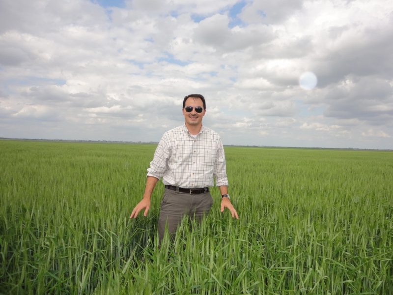 Mario Ferruzzi in a wheat field