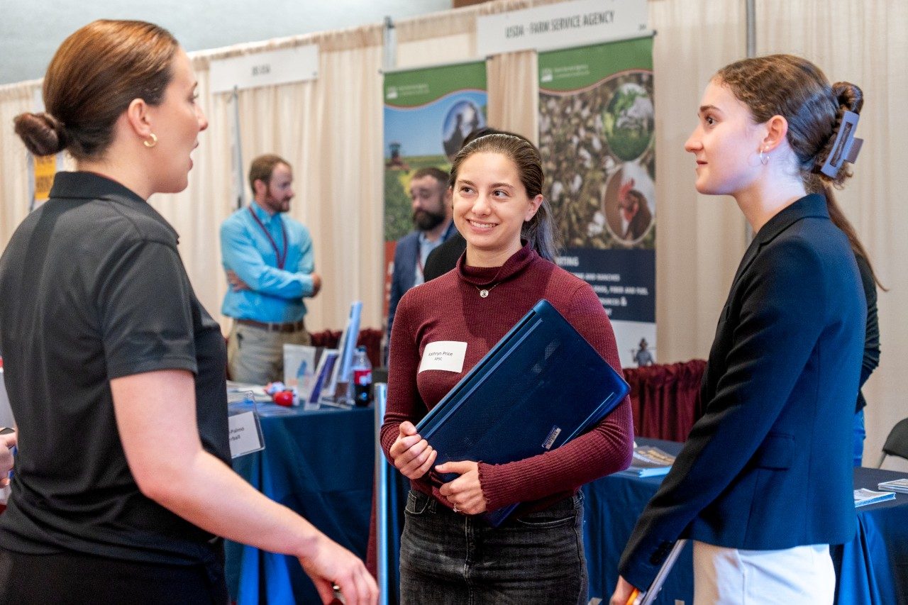 Students at Fall 2024 career fair