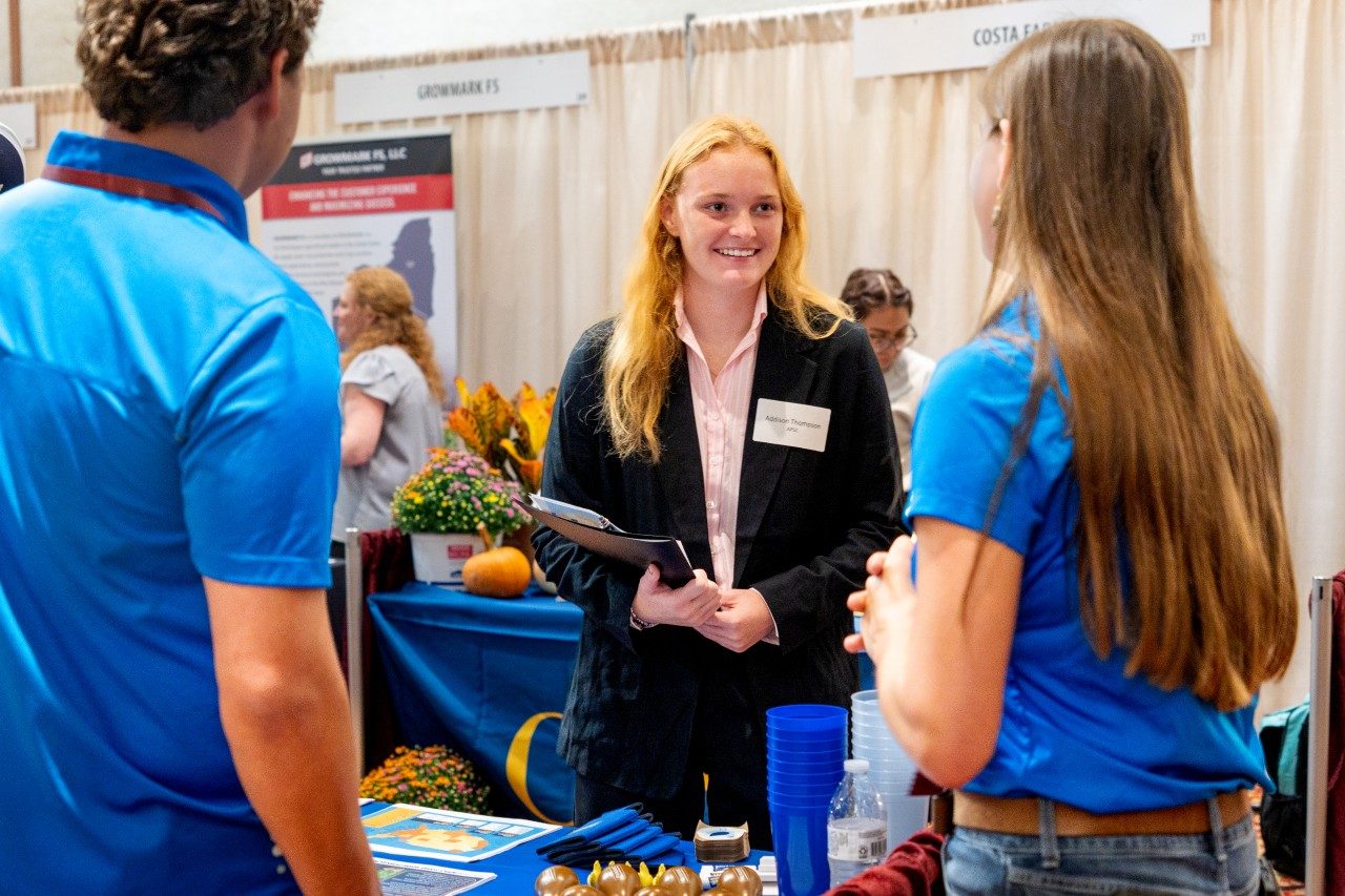 Students at Fall 2024 career fair