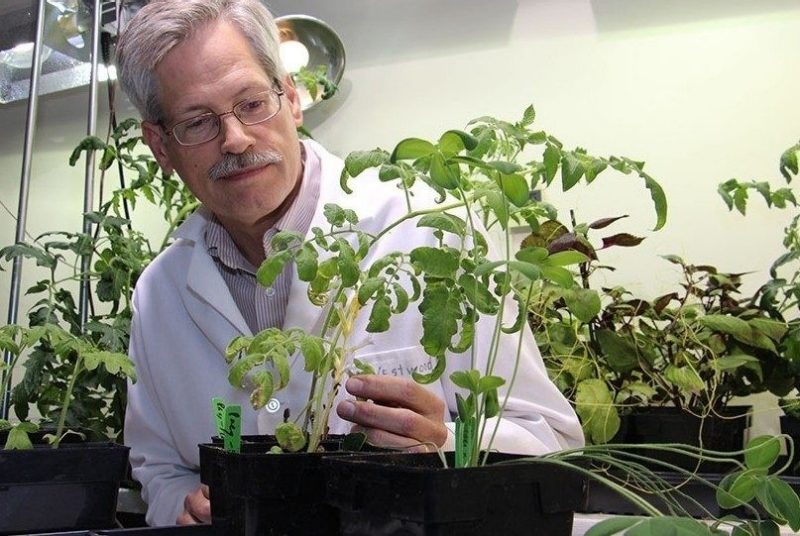 Jim Westwood receives Fulbright U.S. Scholar Award to France for parasitic plant research