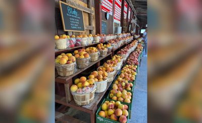 The Saunders Brothers roadside market sells fresh produce grown on the farm such as peaches, apples, and asian pears.