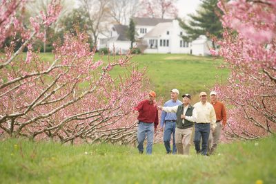 Robert, Tom, Paul, Jim and Bennett Saunders survey one of the orchards owned by the Saunders Brothers.