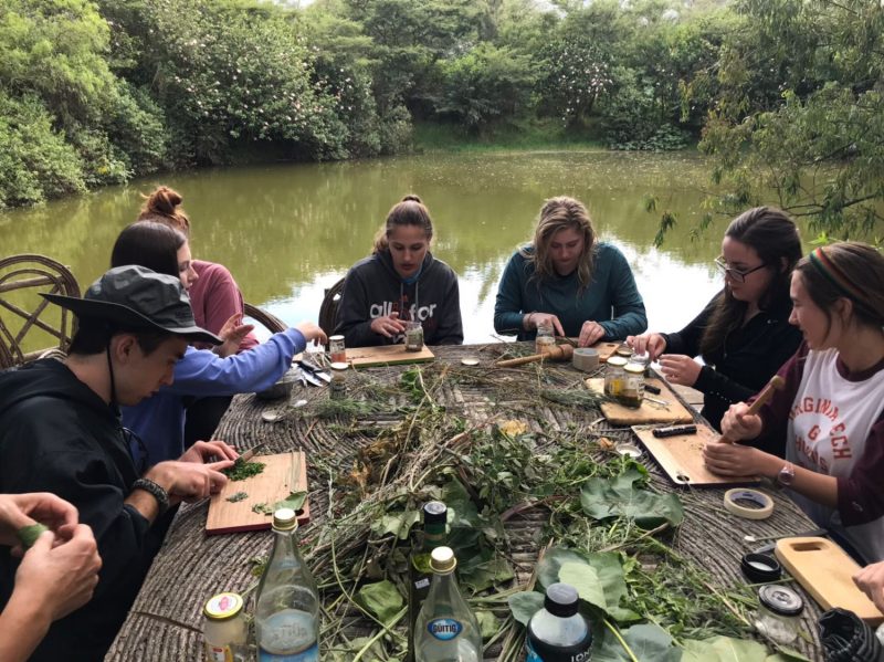 Students preparing herbal tonics at Hacienda Verde.
