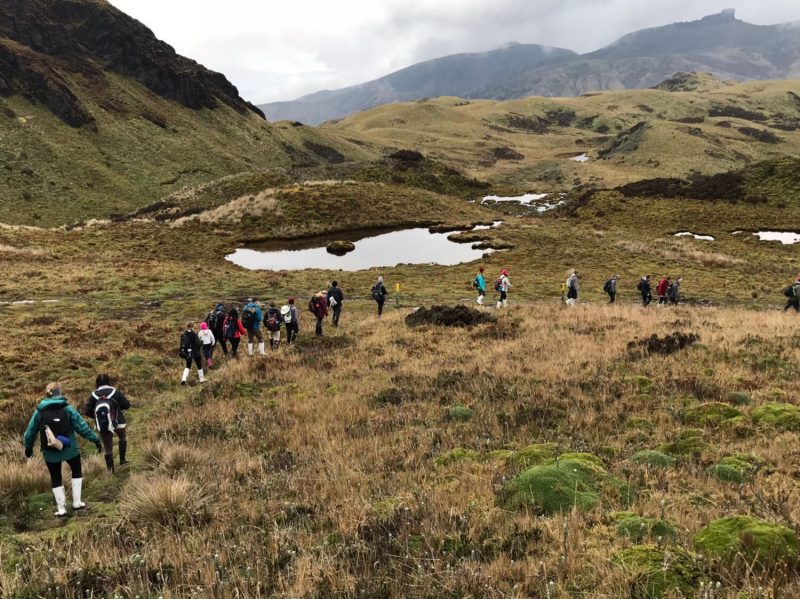 The students hike in the Andes Mountains.
